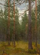 unknow artist, Pine forest